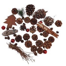 Oberle 80582 Christmas Pine Cones Cones and Accessories Various Sizes and Colours Advent Wreath