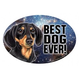 Dachshund Blk Tan BEST DOG EVER! Oval 4x6 Fridge Car Magnet Large Size USA Made