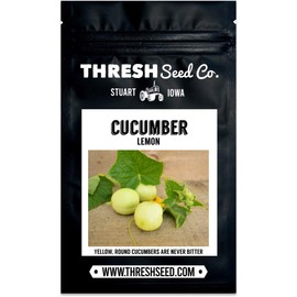 Lemon Cucumber - 25 Seeds