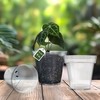 karenplantsplants™ 9" Clear Plastic Nursery Pot (Clear - 5 Pack)