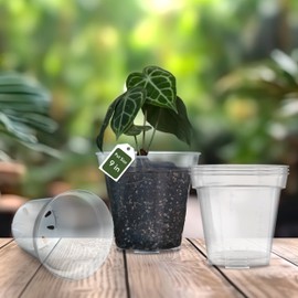 karenplantsplants™ 9" Clear Plastic Nursery Pot (Clear - 5 Pack)