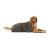 Bone Dry Toalla de microfibra bordada para mascota