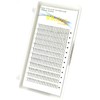Volume Fans Long Stem Premade 3D Eyelashes Extensions 0.07 Thick