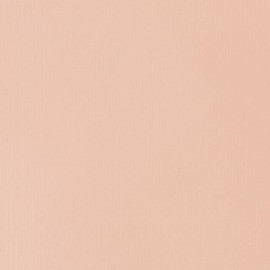 LIQUITEX Basics Acrylic Paint, Light Pink, 118 ml Tube