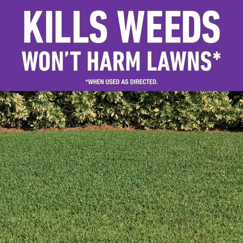 Roundup for Lawns₄ Ready-to-Use (Southern) - All-in-One Weed Killer for