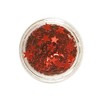Stargazer Loose Glitter Stars Eyeshadow Makeup Face Body Hair Nails