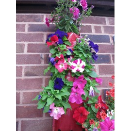 Bowry's Red Hanging Strawberry Flower Bag Planters - Pack of 2 (Red)