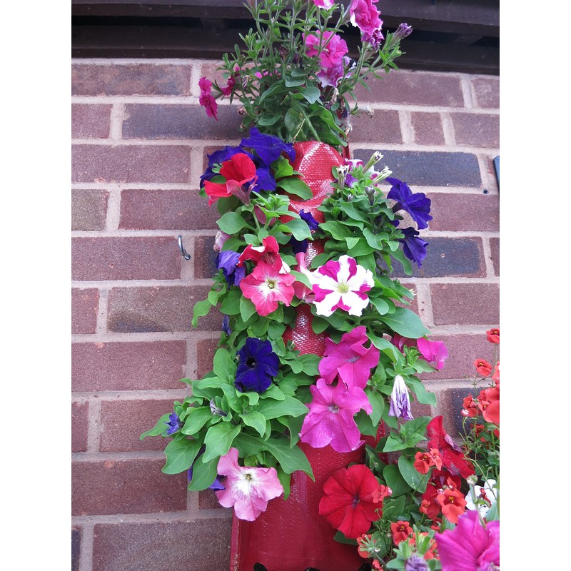 Bowry's Red Hanging Strawberry Flower Bag Planters - Pack of