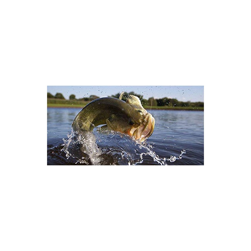 Purina | Game Fish Chow - Floating Diet for Pond