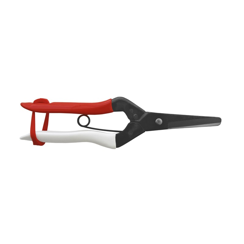 Okatsune Onion Shears NO.306