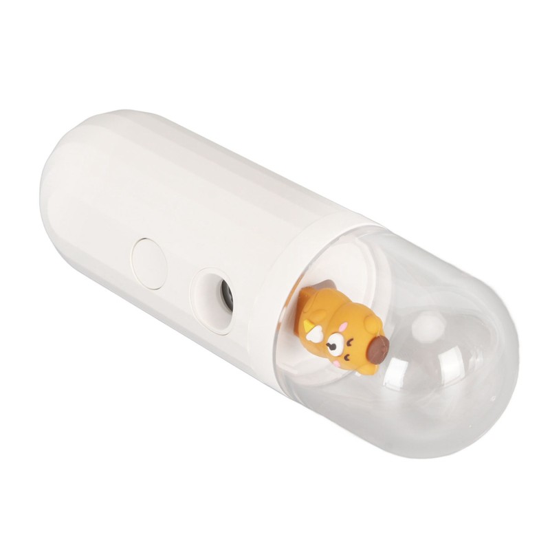 Nano Mist Sprayer Handheld 250mAh USB Rechargeable Nano Mister Facial