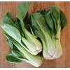 KIRA SEEDS - Seeds Bok Choy Chinese - Green Cabbage