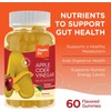Zahler - Apple Cider Vinegar Gummies - Kosher & Delicious
