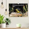 Reptilienkalender 2025 (Wandkalender 2025 DIN A4 quer), CALVENDO Monatskalender [Calendar]
