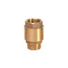 Ribiland - Check Valve Brass 1 1/4 Output Male/Female -