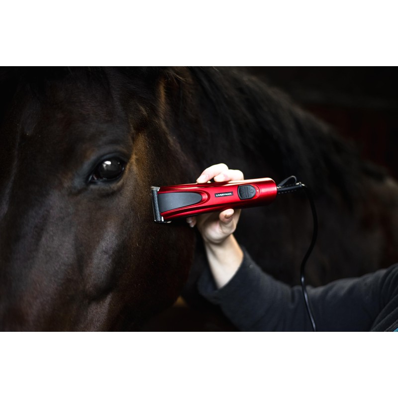 Liveryman A5 Narrow Blade 10