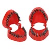 Denture Drill Bit Holder Teeth Model Shaped Full Opening Screwdriver