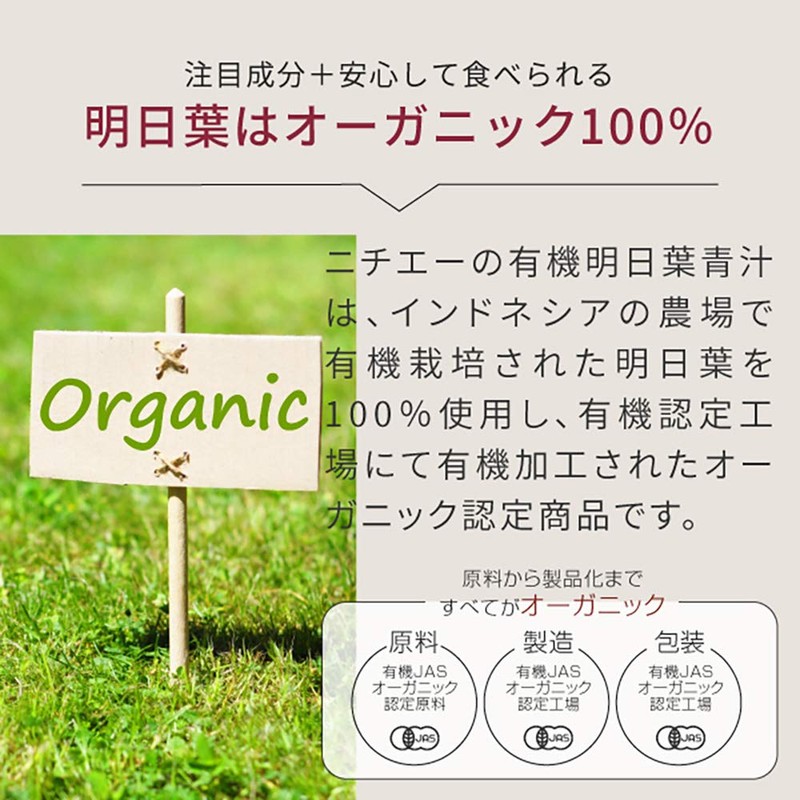 nichie Organic Tomorrow Leaves Green Juice, 100% Indonesian Powder, 3.5