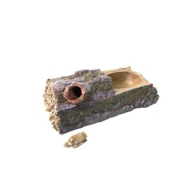 Komodo Forest Dual Feeder