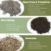 Potting Soil with Mycorrhizae (4 Quarts), Fantastic Fungi Potting Mix,