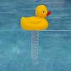 MAGIC TIME INTERNATIONAL LTD Ripple: Duck Thermometer - Pool &