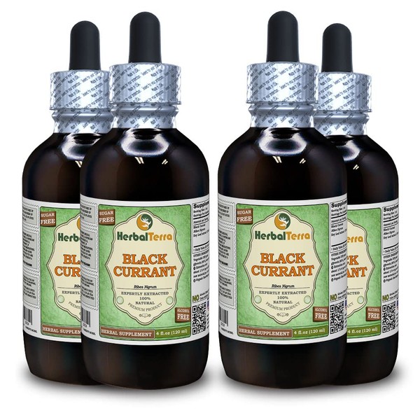 Black Currant (Ribes nigrum) Glycerite, Dried Leaves Alcohol-FREE Liquid Extract (Brand name: HerbalTerra, Proudly made in USA) 4x4 fl.oz (4x120 ml)