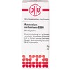Ammonium carbonicum C200 DHU Globules, 10 g Globules