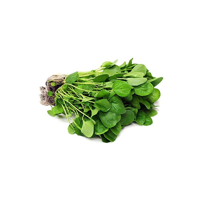 Watercress Herb - Dried Nasturtium officinale C/S 100% from Nature