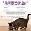Purina Cat Chow Gentle Sensitive Stomach and Skin Dry Cat