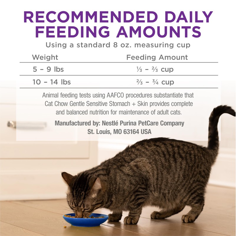 Purina Cat Chow Gentle Sensitive Stomach and Skin Dry Cat