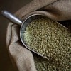 Moreish Coffee Bags - Organic Peruvian Fairtrade (50 Single Origin