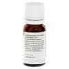 Rhus Toxicodendron D 30 Globules