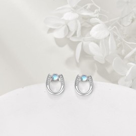 VIJASHOP Horseshoe Earrings 925 Sterling Silver Horseshoe Studs Earring Horseshoe Jewelry Gift for Women Horseshoe Gifts for Mom Wife