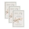 Fossa Honey Orchid Dancong Oolong Chocolate 3-PACK