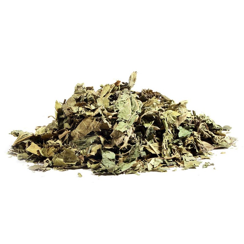 EidolonGreen [China Medicinal Herb] Mulberry Loose Leaves (Mulberry Leaf/Sangye/桑叶/뽕잎/Folium Mori)