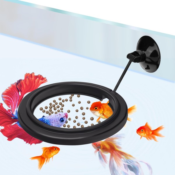 DaToo Small Fish Feeding Ring Round Mini Aquarium Feeder with