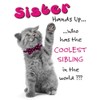 Piccadilly Greetings Humour Birthday Card Sister - 8 x 6