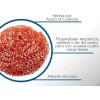 Alien Technology Limpiador Seco Puntas Cautín Fibra Alambre Soldadura Reparar