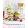 Flora - Green Blend Fermented Grasses, Whole Foods and Superfoods,