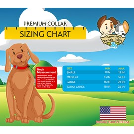 Country Brook Petz - Premium Busy Bee Dog Collar and Leash - Summer Breeze Collection Featuring Sunny Designs (1 Inch, Medium)