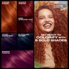 Clairol Natural Instincts Bold Permanent Hair Dye, BL28 Blue Black