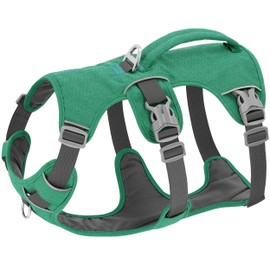 Beirui Escape Proof Dog Harness,Soft Padded Dog Vest No Pull with Lift Handle,Durable Reflective Waterproof Full Body Pet Harness for Small Medium Dogs Walking Training(Green,Chest 18-32")