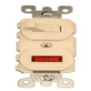 Leviton 5226-T 15 Amp, 120 Volt, Duplex Style Single-Pole, Neon
