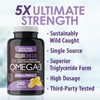 AquaOmega 5x Ultimate Strength High DHA Supplement Omega3 with EPA