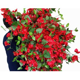 Pack of 20Pcs - Artificial Bougainvillea Flowers Silk Floral Stems Hanging Flower Vines for Wedding & Home Decoration, Table and Vase Decor - 30.5 inch (Red)