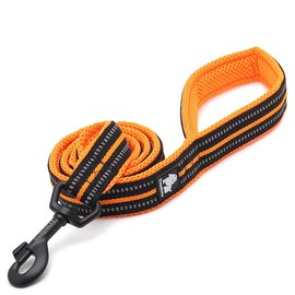 TRUE LOVE Reflective Dog Leash Puppy Walking Lead, Padded Pet Chain Rope，Length 110cm Truelove TLL2111(Orange,M)