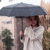 Mr. Pen- Windproof Travel Umbrella, Compact, Water Resistant, Light weight,