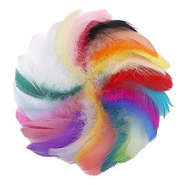 aoozleny 300pcs Colorful Goose Feathers in Bulk 3-6 inch for DIY Dream Catcher Accessories Wedding Party Decoration 10Colors