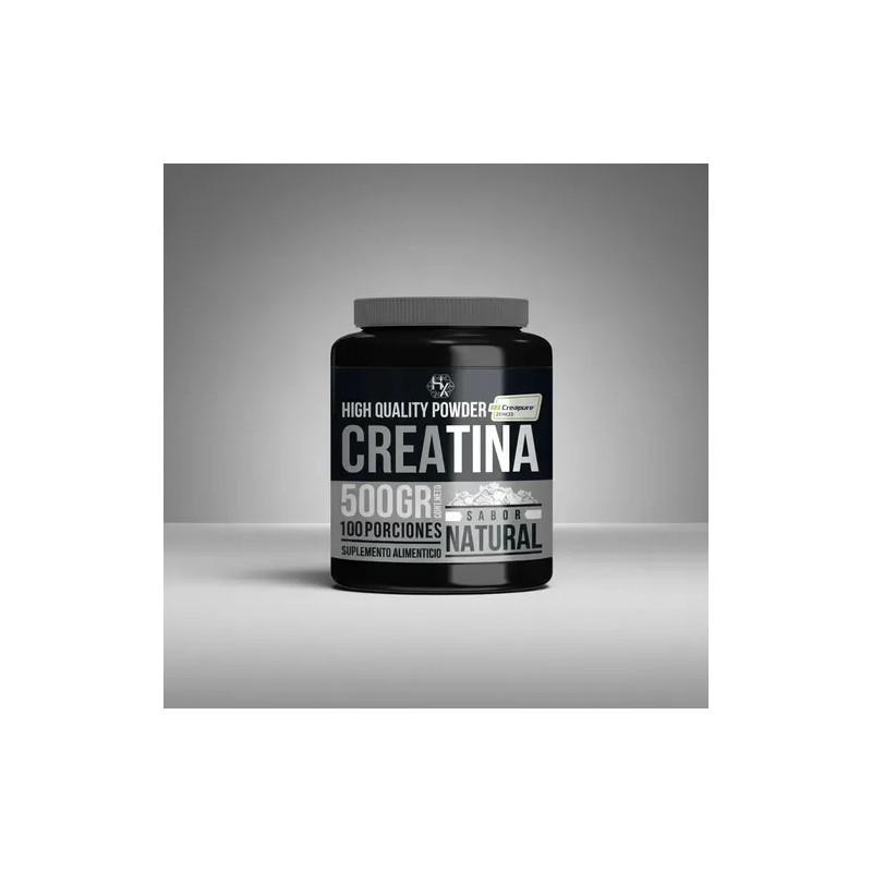 Creatina Pura Monohidratada Holix Lab 500g 100 Serv Creatina Micronizada