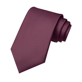 RBOCOTT Maroon Tie Mens Necktie for Business and Wedding Party(17)